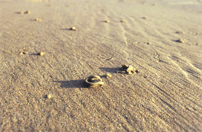 Sur le sable - mars 2002 - calais