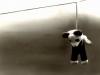 mort du panda - vieillerie intemporelle