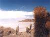 Salar Uyuni - 2001 - Bolivie